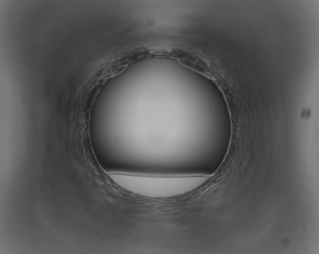 X0000093441445200710120936