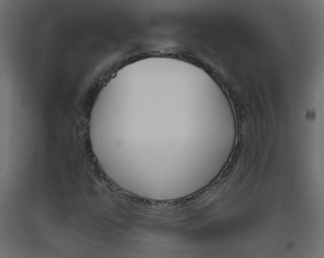 X0000093441447200710120936
