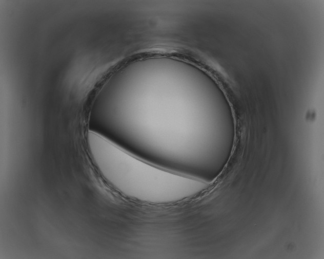 X0000093441448200710120936