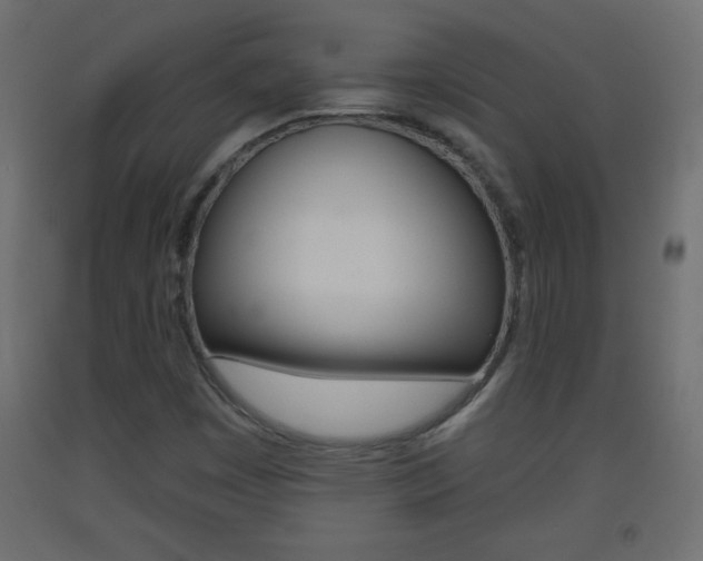 X0000093441449200710120936