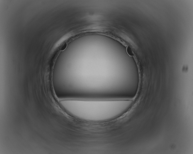 X0000093441450200710120936