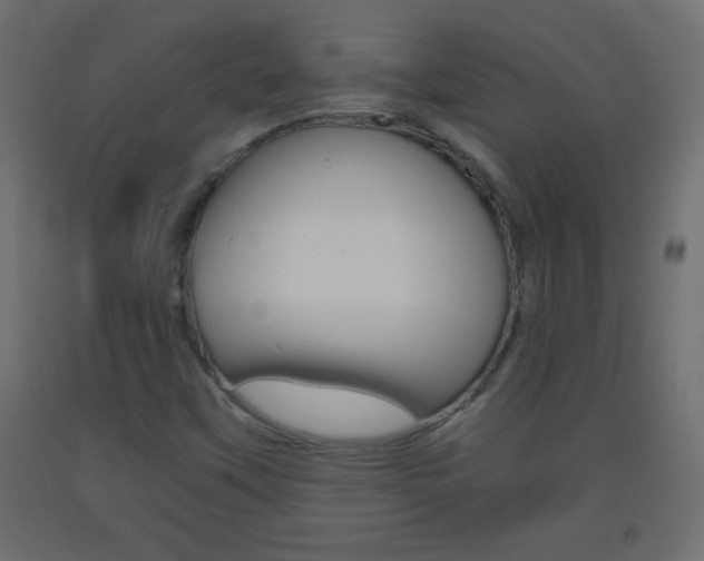 X0000093441451200710120936