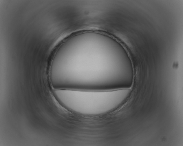 X0000093441452200710120936