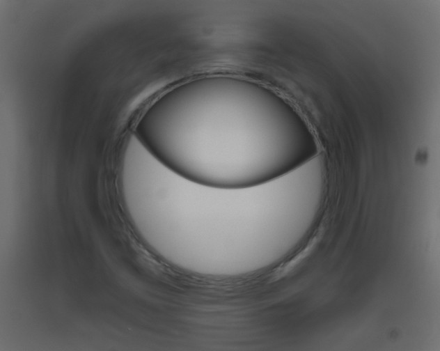 X0000093441453200710120936