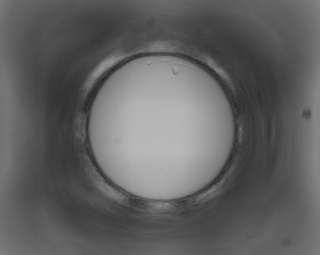 X0000093441454200710120936