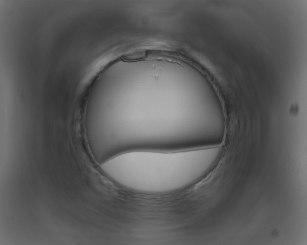 X0000093441455200710120936