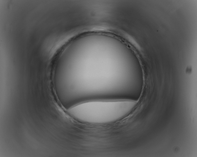 X0000093441456200710120936