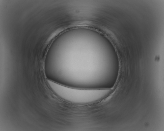 X0000093441457200710120936