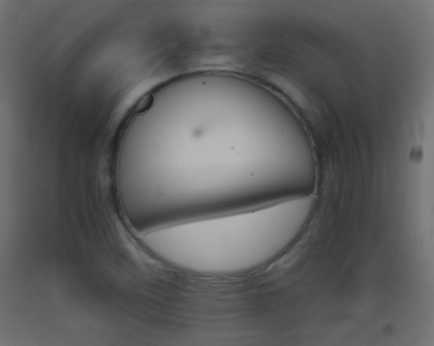 X0000093441458200710120936