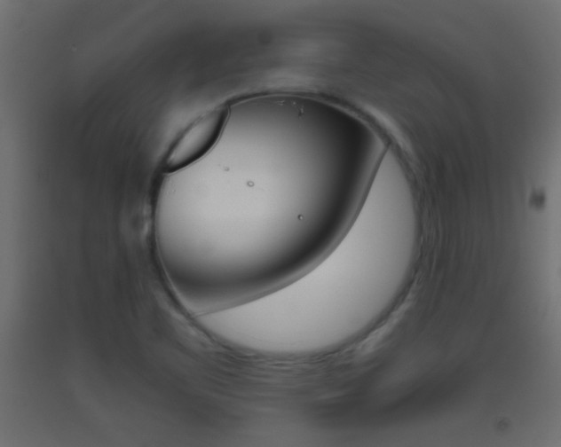 X0000093441461200710120936