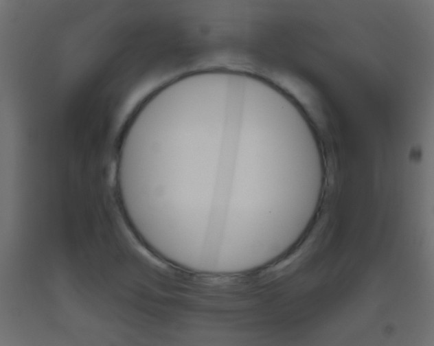 X0000093441462200710120936