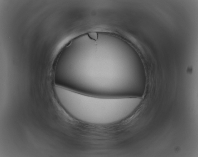 X0000093441463200710120936