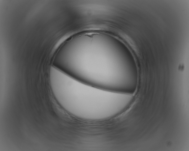 X0000093441465200710120936