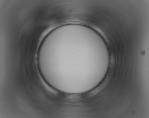 X0000093441466200710120936