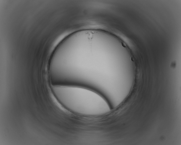 X0000093441468200710120936