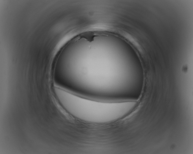 X0000093441469200710120936