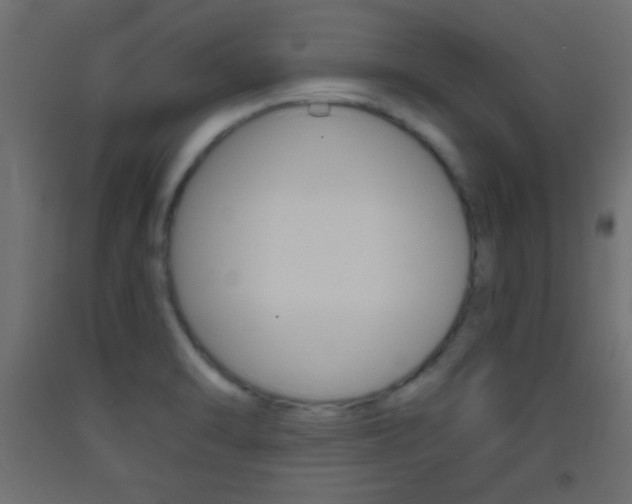 X0000093441470200710120936