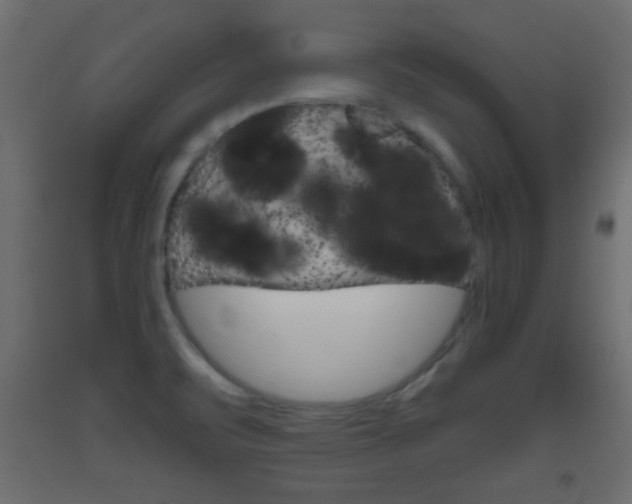 X0000093441471200710120936