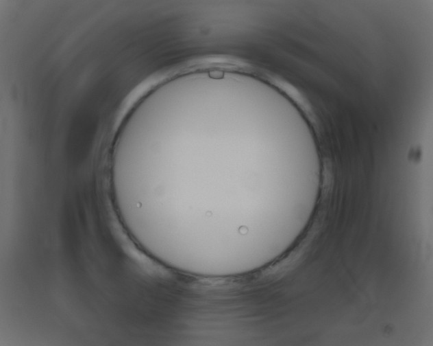 X0000093441474200710120936