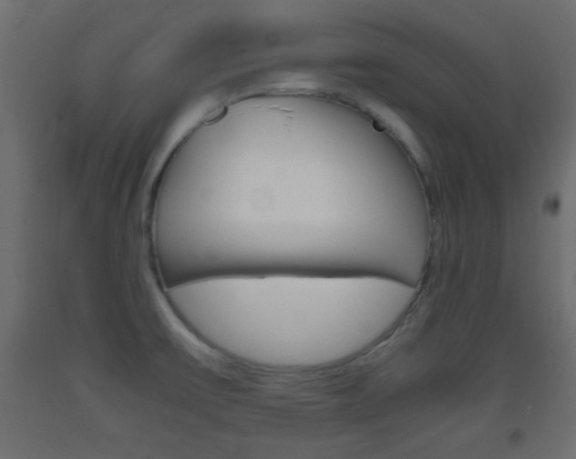 X0000093441475200710120936