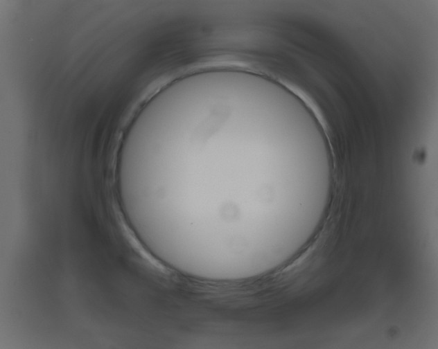 X0000093441477200710120936
