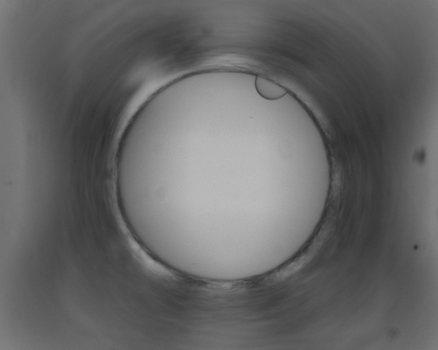 X0000093441478200710120936