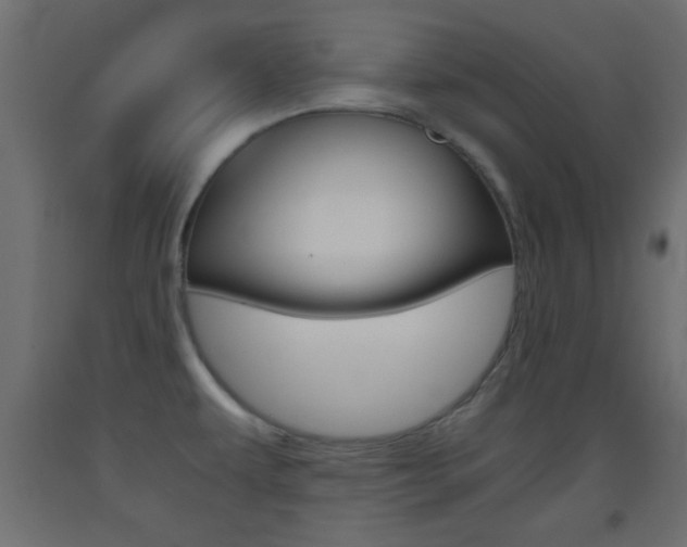 X0000093441479200710120936