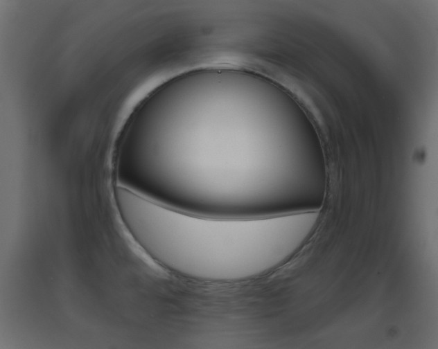 X0000093441480200710120936