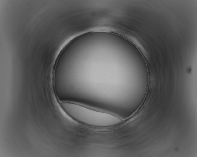 X0000093441484200710120936