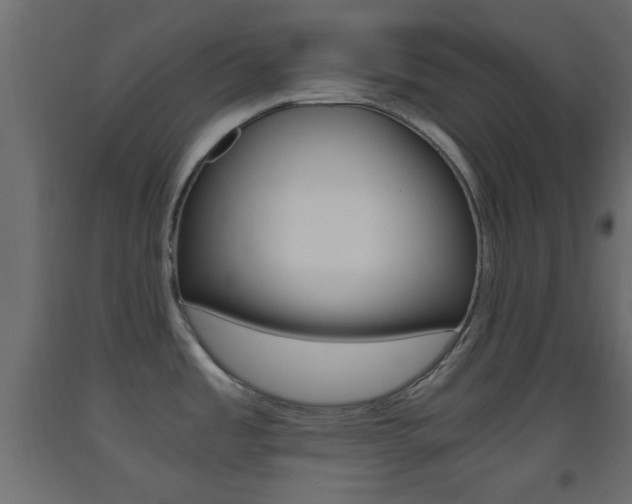 X0000093441485200710120936