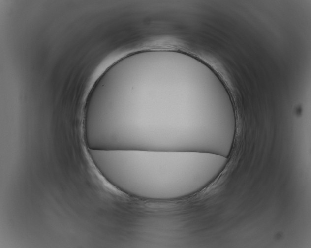 X0000093441486200710120936