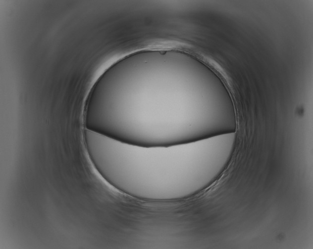 X0000093441487200710120936
