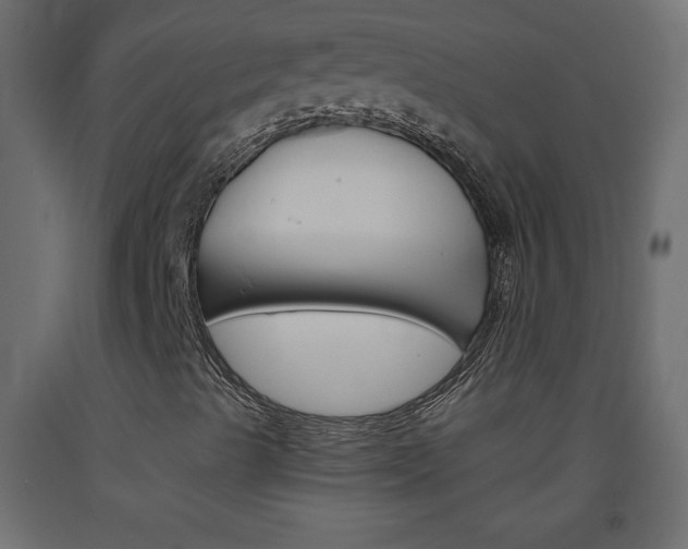 X0000093441489200710120935