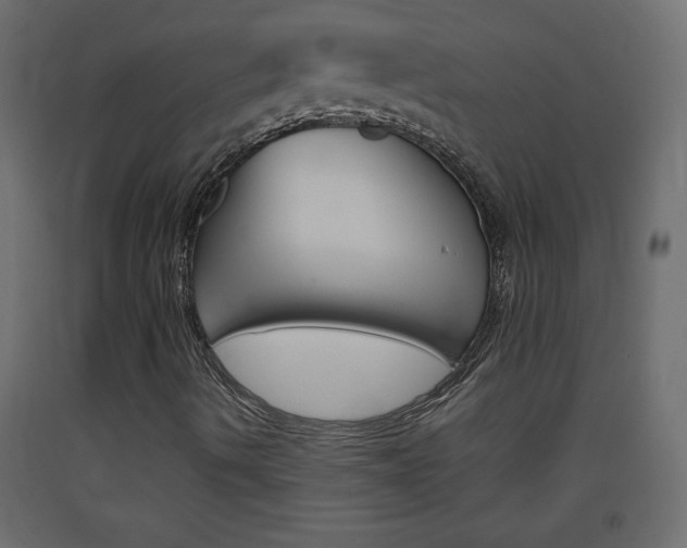 X0000093441490200710120935