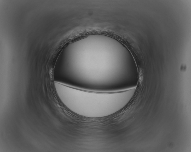 X0000093441492200710120935