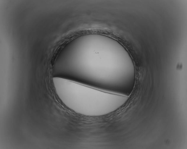 X0000093441493200710120935