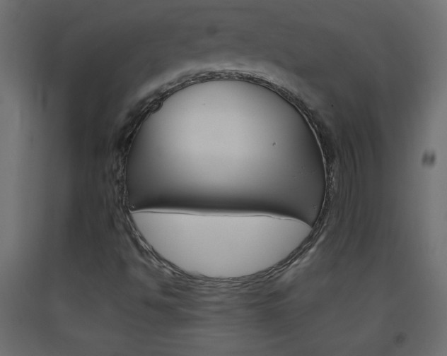 X0000093441494200710120935