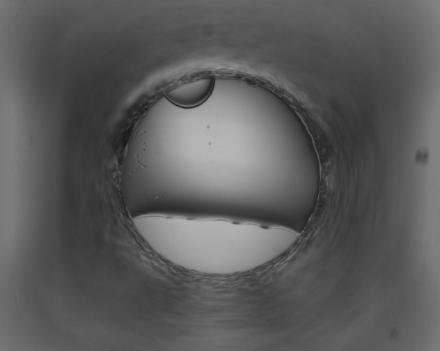 X0000093441495200710120935