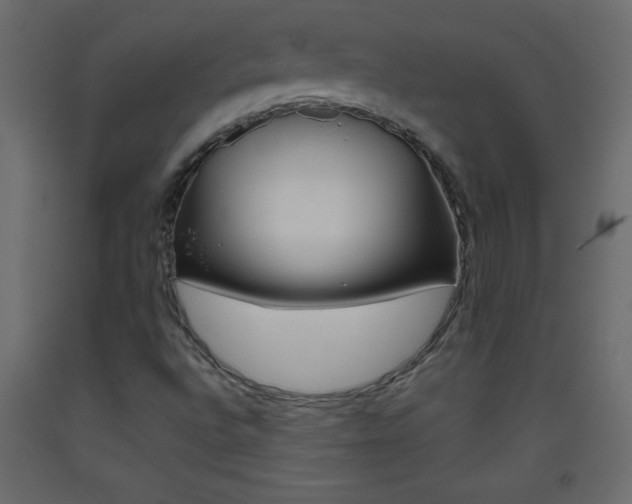 X0000093441496200710120935