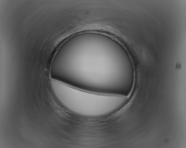 X0000093441497200710120935