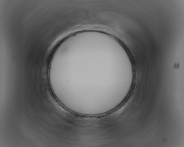 X0000093441498200710120935