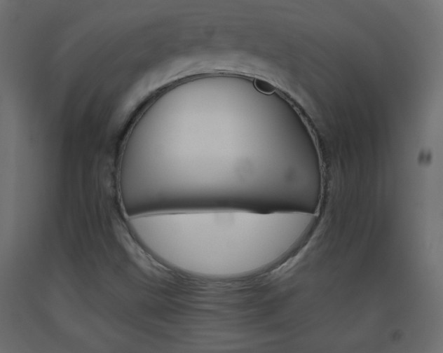X0000093441499200710120935
