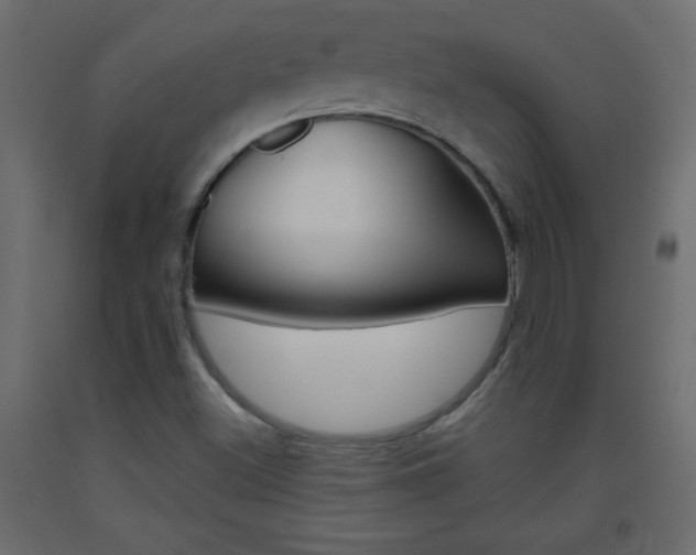 X0000093441500200710120935