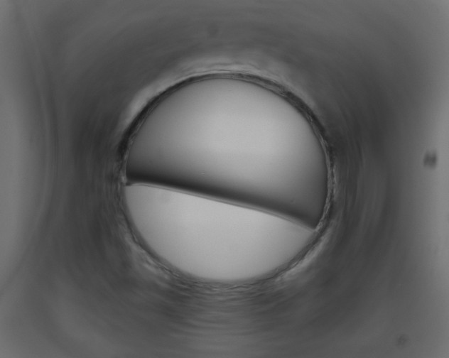X0000093441501200710120935