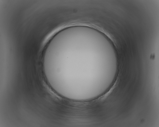 X0000093441502200710120935