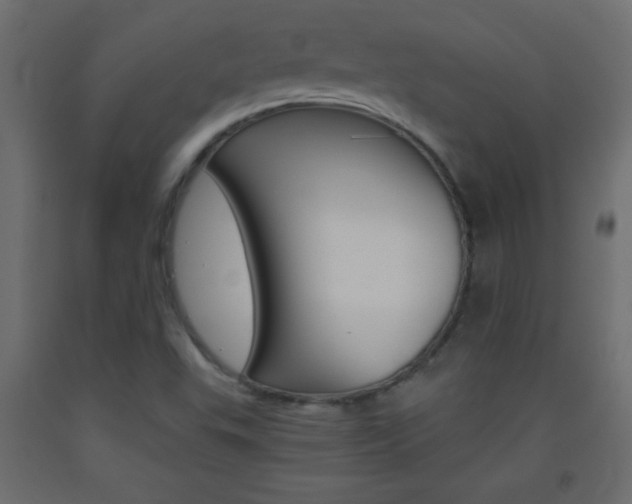 X0000093441503200710120935