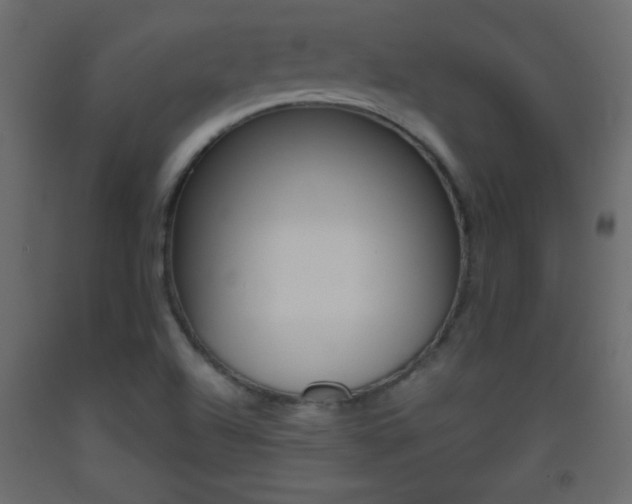 X0000093441504200710120935