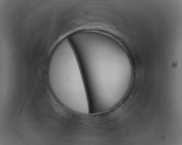 X0000093441505200710120935