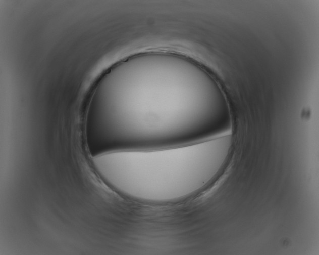 X0000093441506200710120935