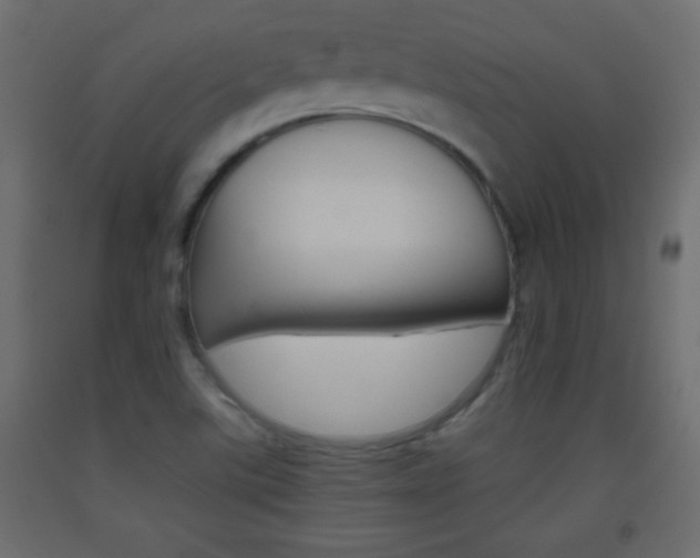 X0000093441507200710120935